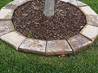 Front yard planting refresh project in Racine, Wisconsin